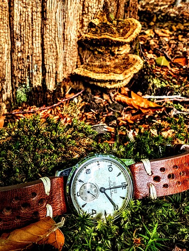 PXL_20250904_115956879~2