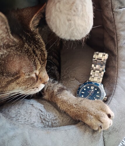 IMG_20260202_123451490~2