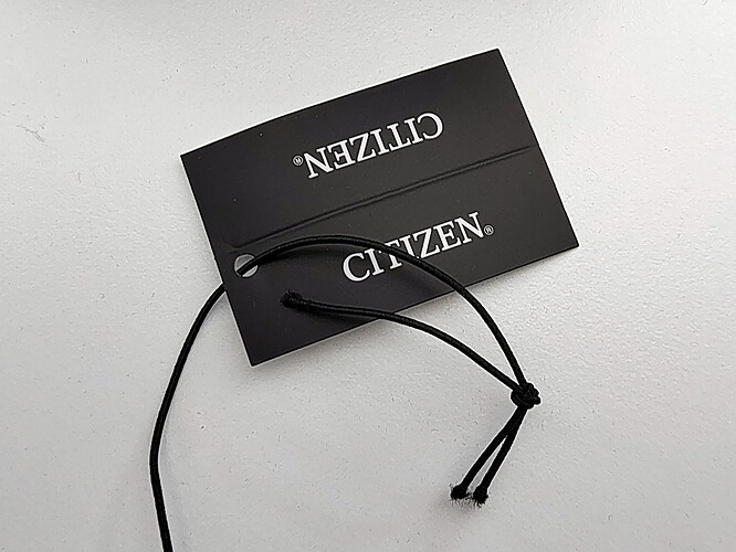 CITIZEN NJ0151-88L P011_2