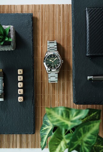 20260216 Seiko Alpinist SPB155J1-6
