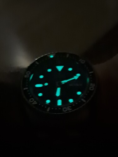 17467204356501421834525877581245