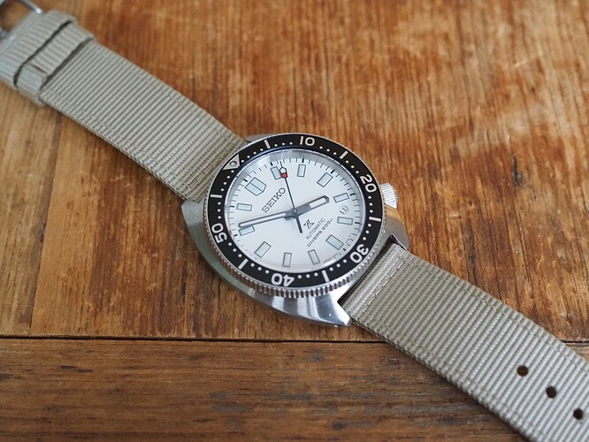 Seiko Slim Turtle SPB313 (17)