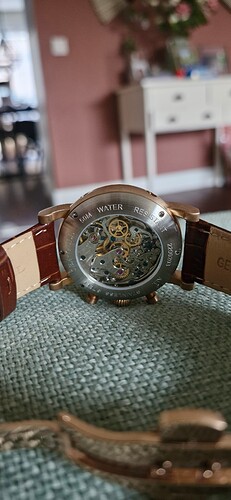 17626060937053157344408538454877