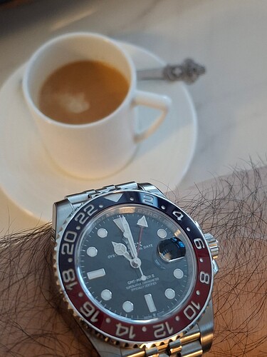 17669160611733340234456158462894