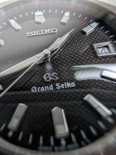 PXL_20251114_124141753.MP