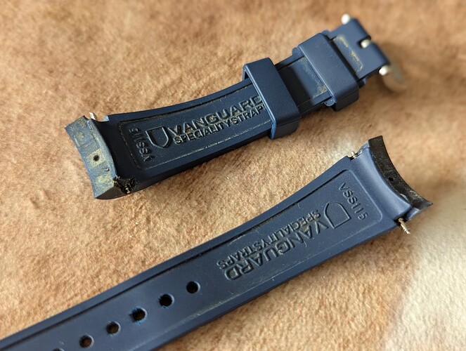 PXL_20251110_091502018.PORTRAIT