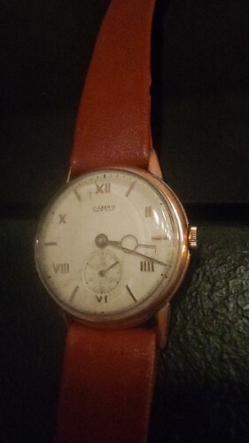 17677715849114784131258783080992