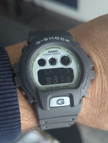 17674290306535368358351395749005