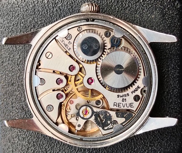 Revue Sport Cal. Revue 81