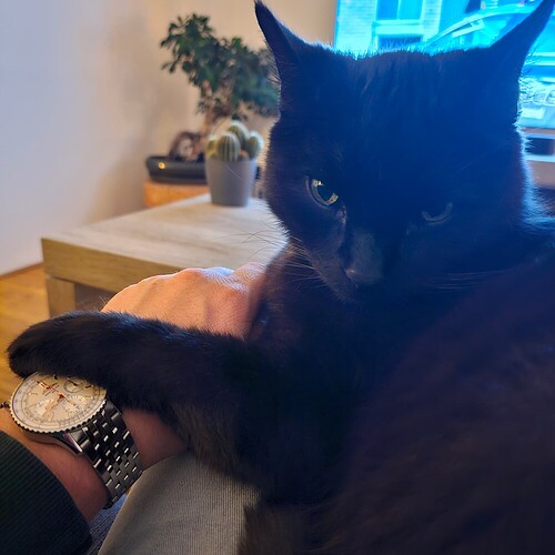 40da598b49187806af0ef4ca62b2712deb8f18bc_2_1000x1000