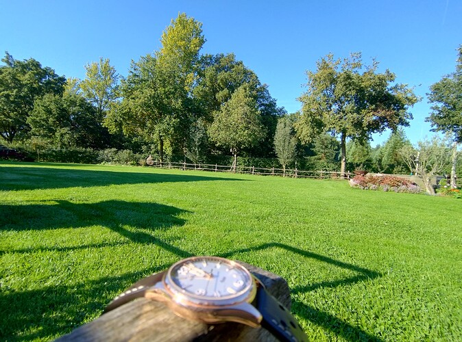 IMG_20250928_110318255_HDR