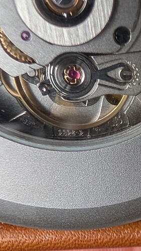 PXL_20260220_120657294