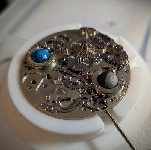 PXL_20251122_135110695.MACRO_FOCUS~2