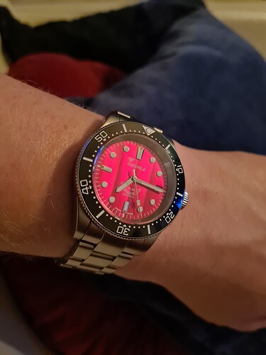 17606348988205051003533935675993
