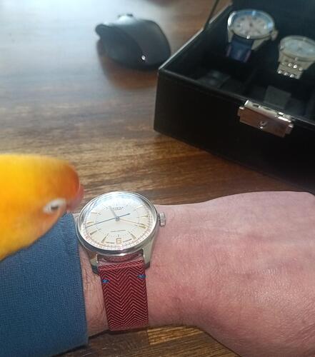 signal-2026-02-04-114840