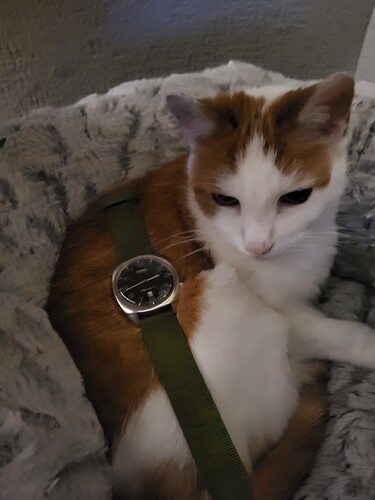 17591066046641728943217201379693