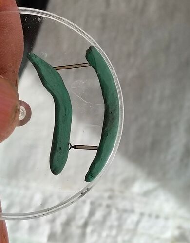 IMG20260314150645   3