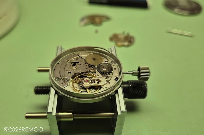 20260616-Squale1521MM_PeterLC-00004