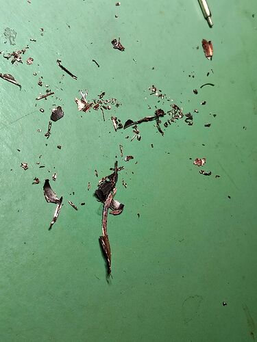 IMG20260127145638   1