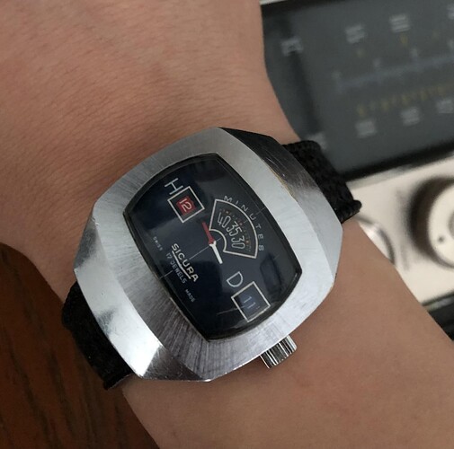 17663955745473825586576893399154