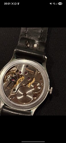 Screenshot_20260319_202142_Vinted