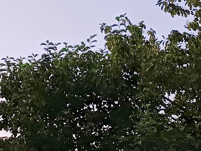 20260711_222122~2