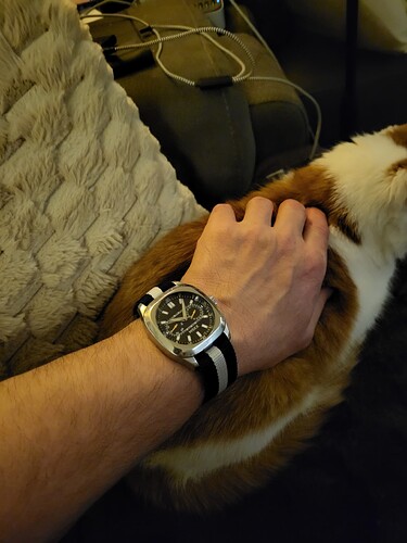 17637591387361152980902772973995