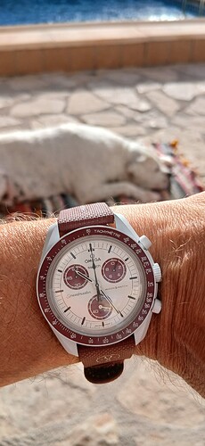 17613807267745962157396751856036