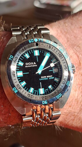 17665778966018020044301943204361