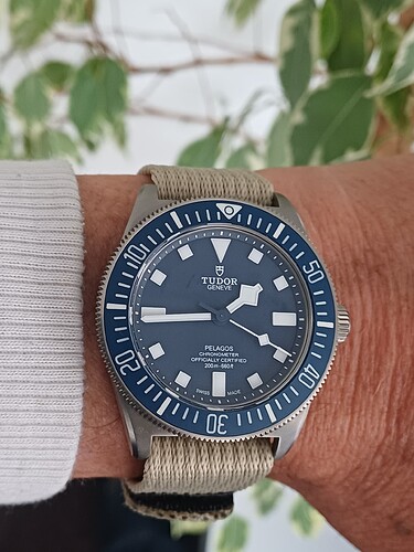 17746154226154431633881787183109