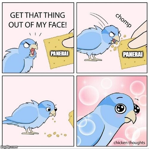 panerai_meme