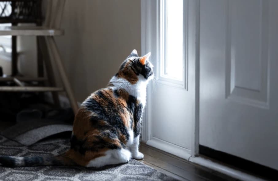 Schermafbeelding 2025-08-24 om 19.56.47