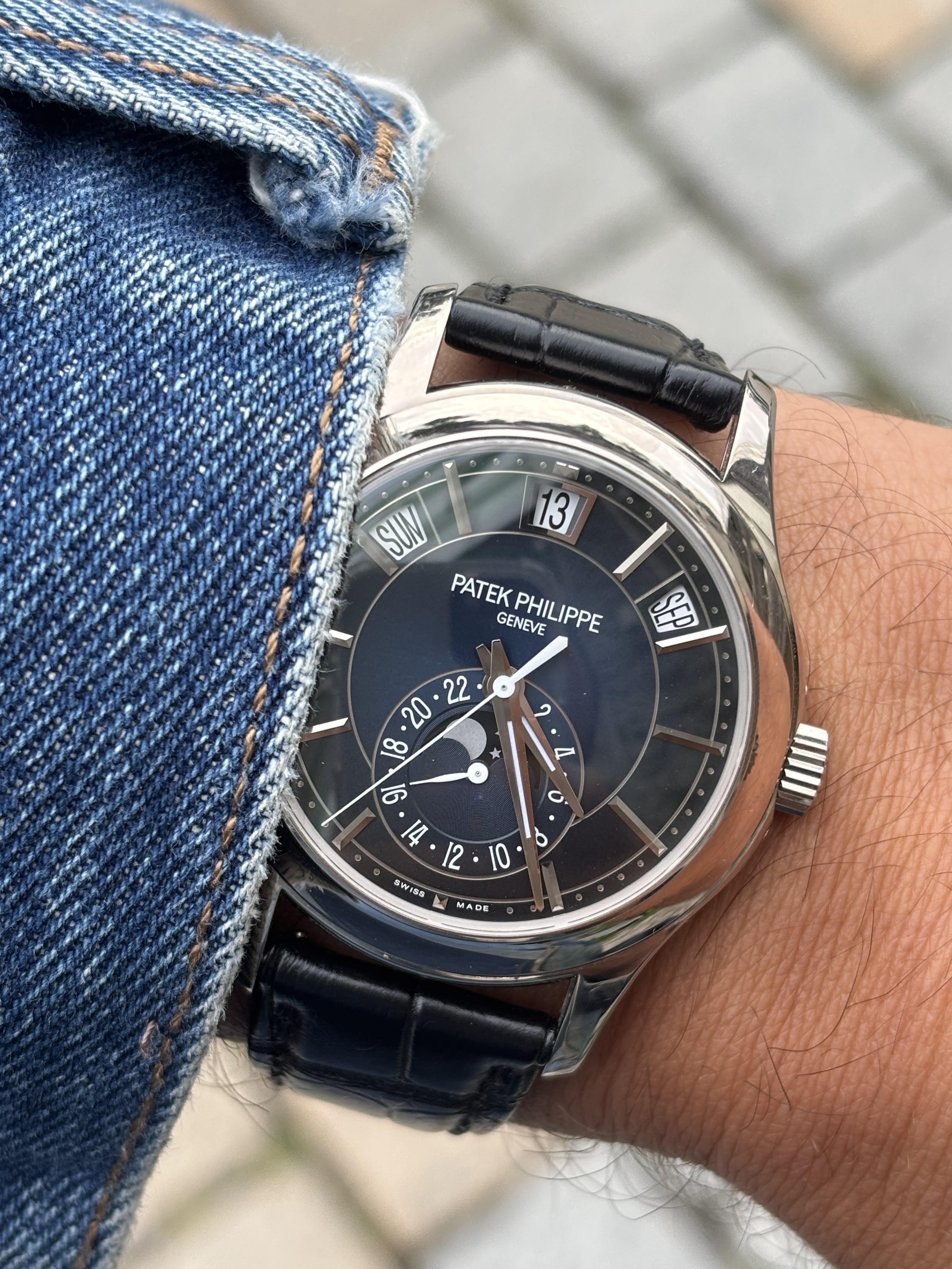 Patek Philippe wristshot 22