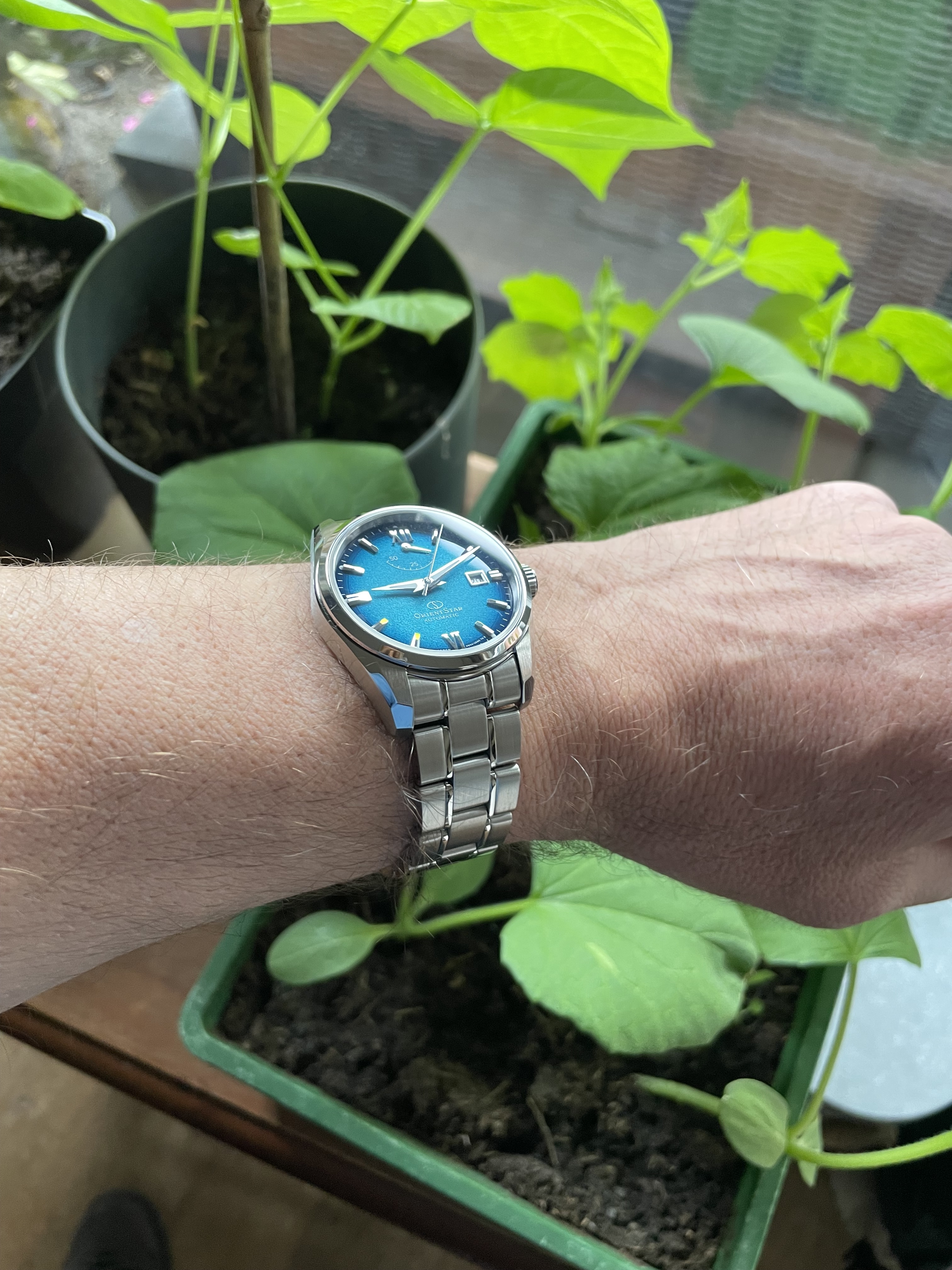 Orient wristshot 28