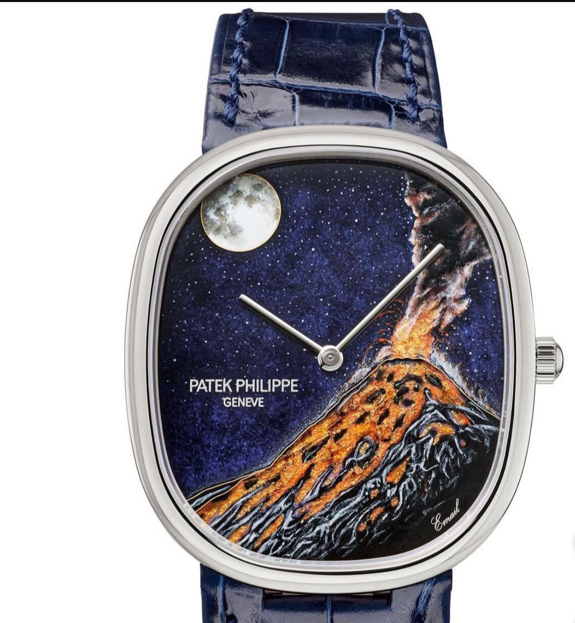 Patek Philippe wristshot 29