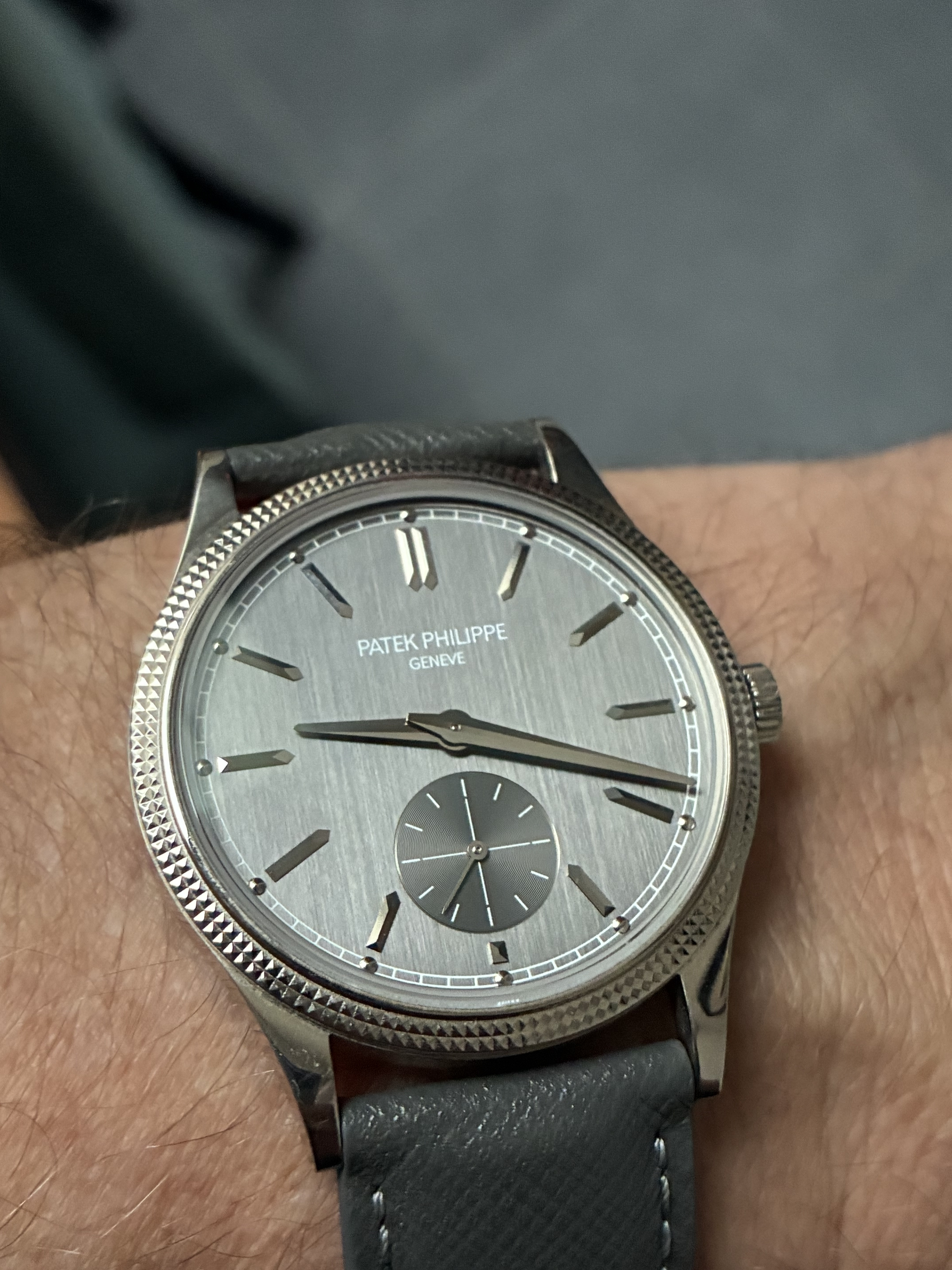 Patek Philippe wristshot 2