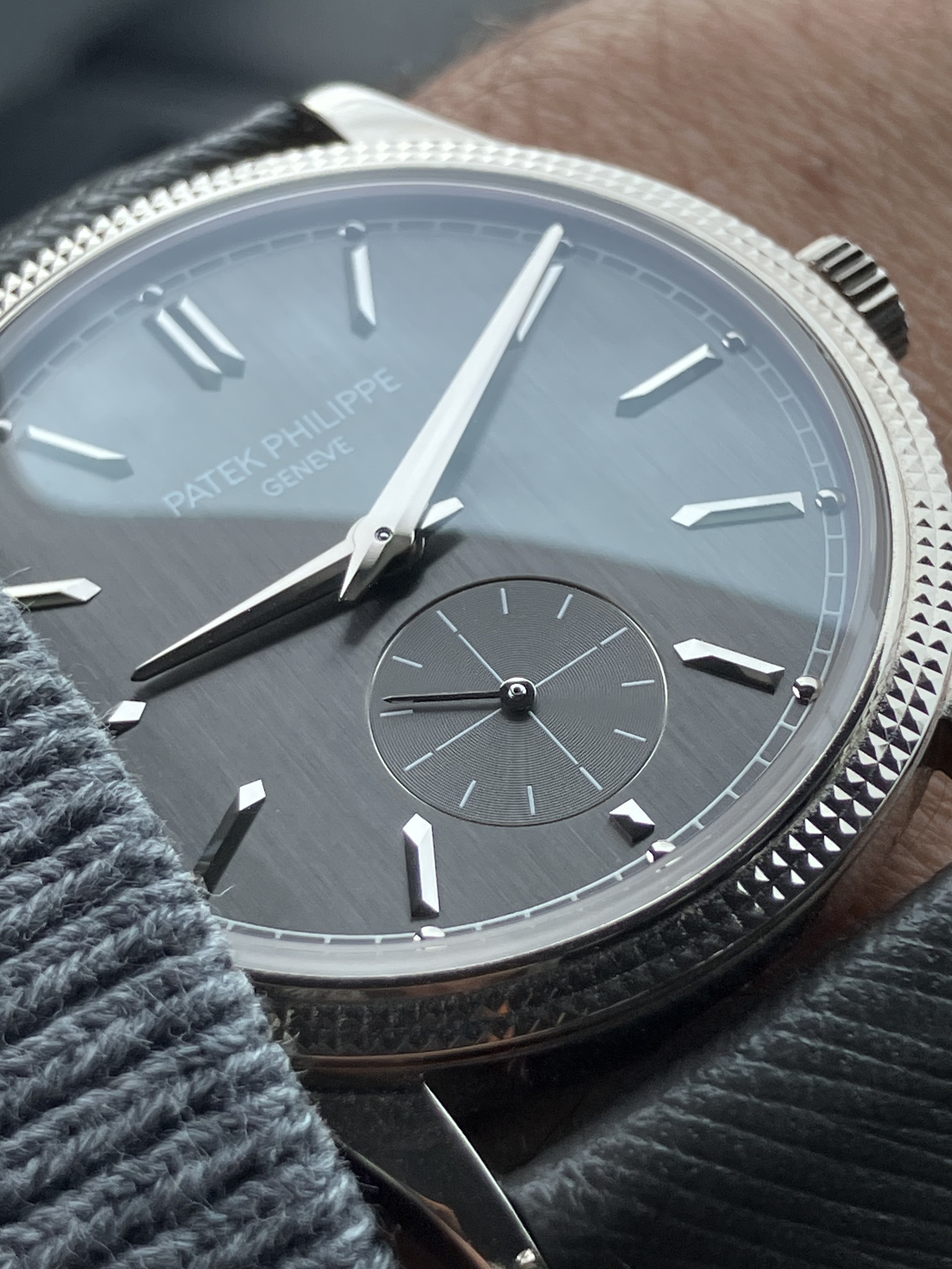 Patek Philippe wristshot 5