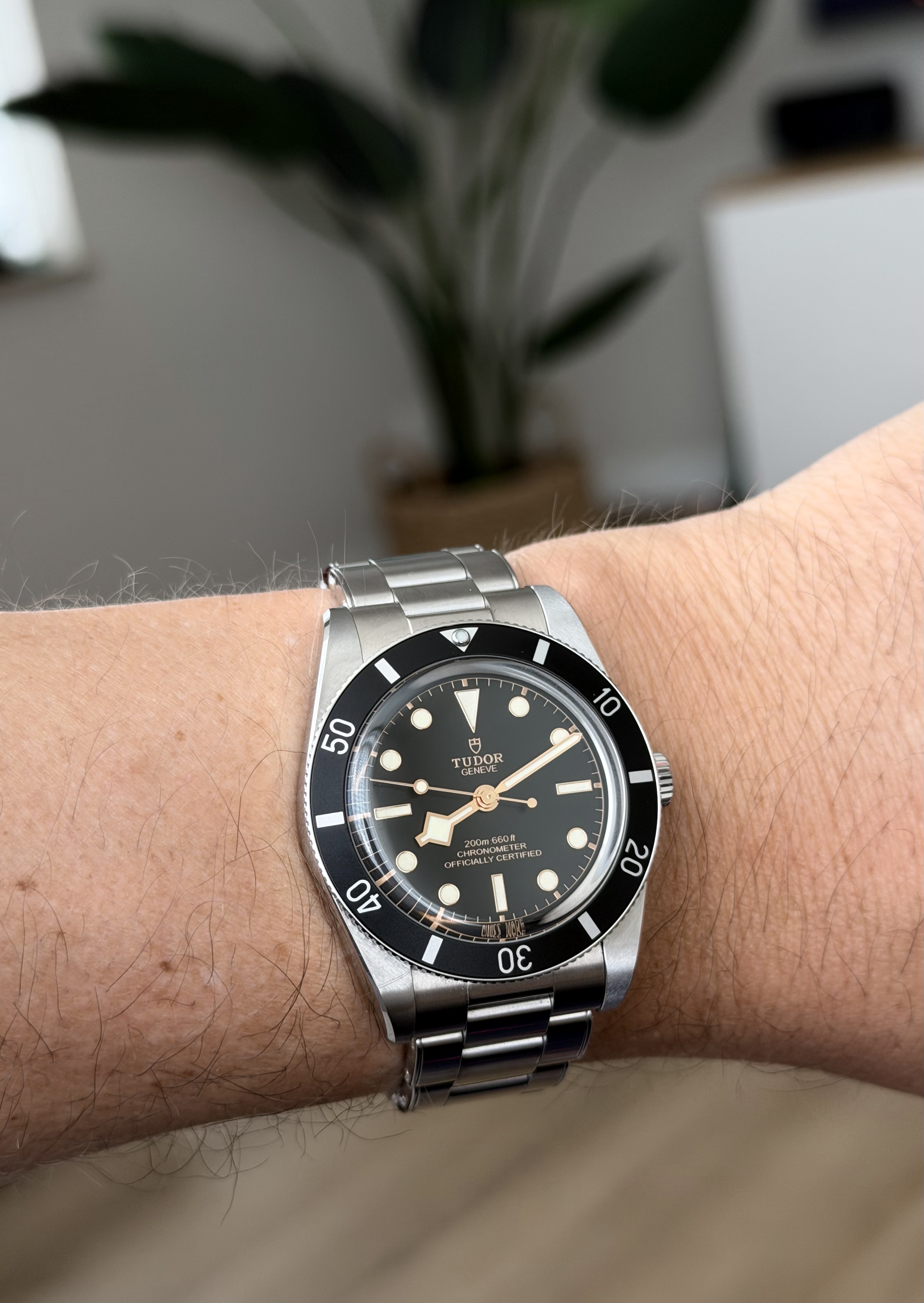 Tudor wristshot 31