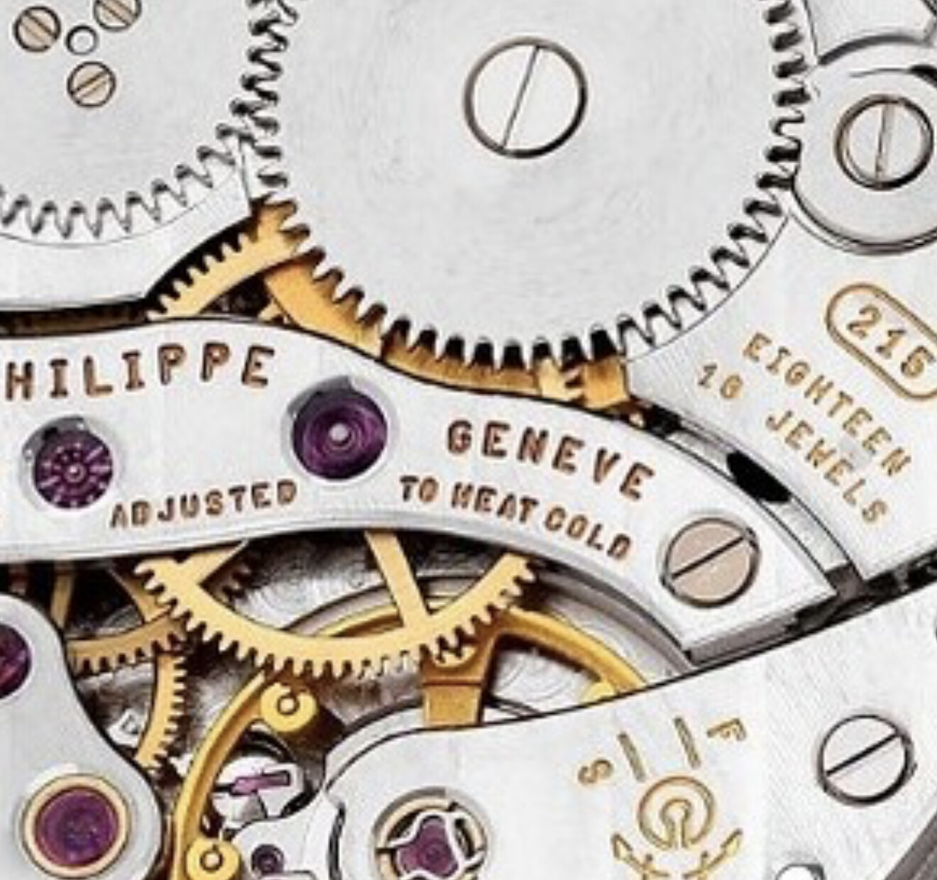 Patek Philippe wristshot 27