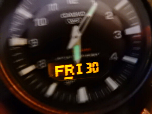 5DSCN8031
