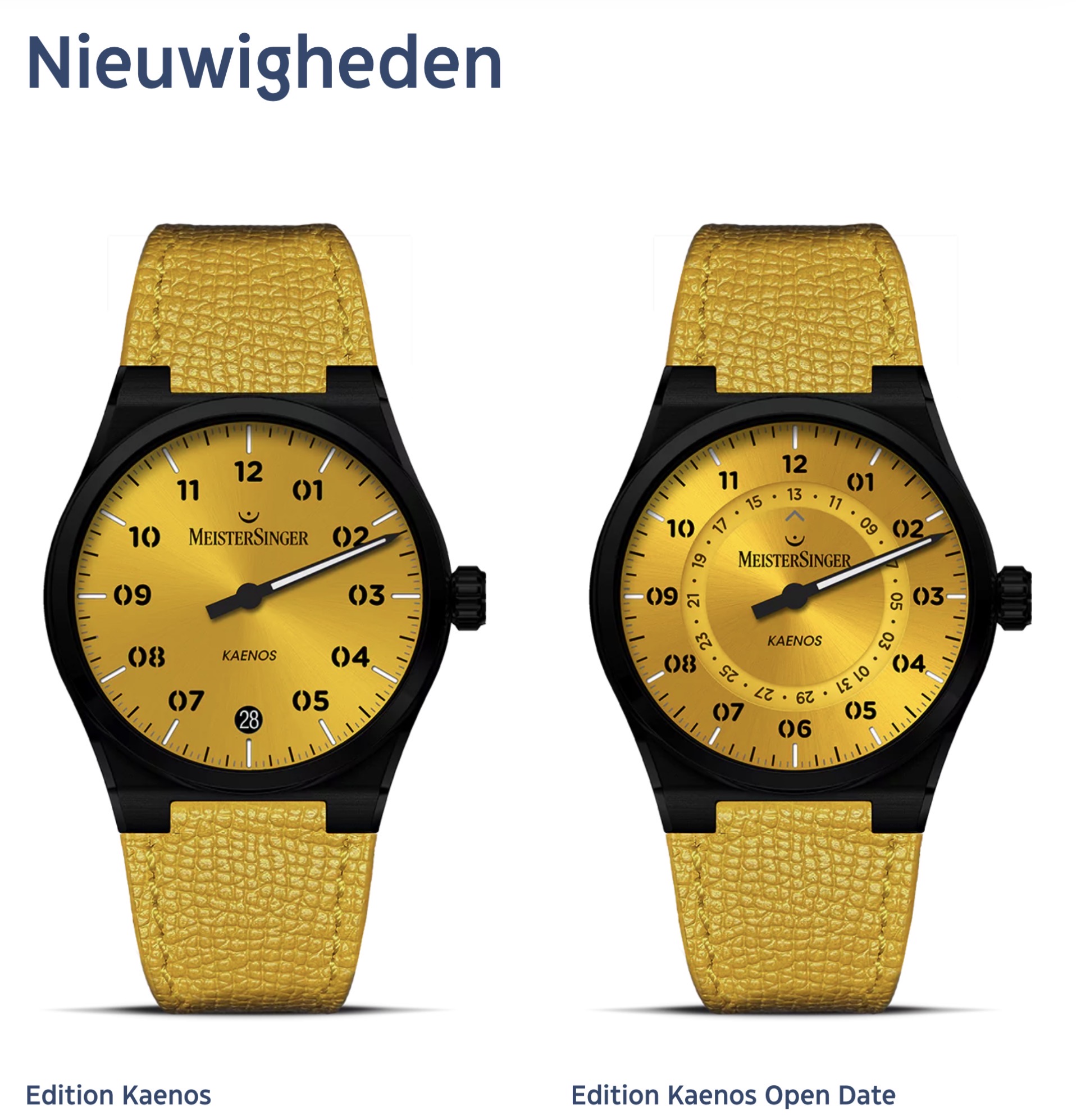 MeisterSinger cover