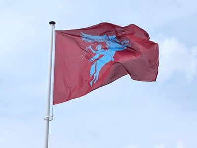 airborne-vlag