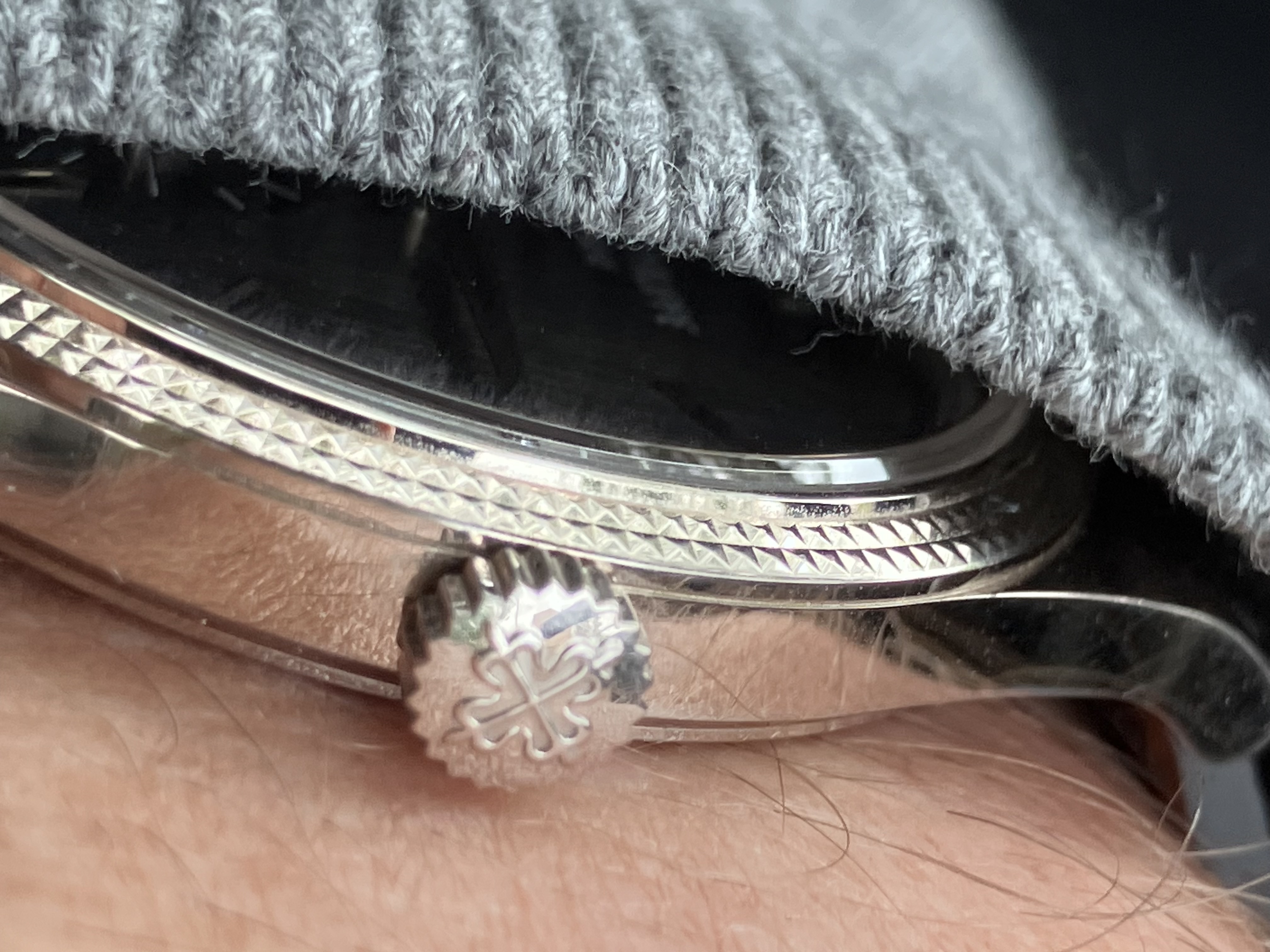Patek Philippe wristshot 4