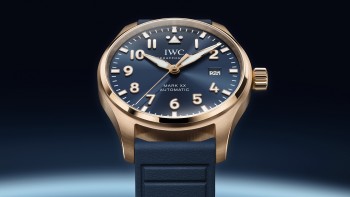 IWC wristshot 22