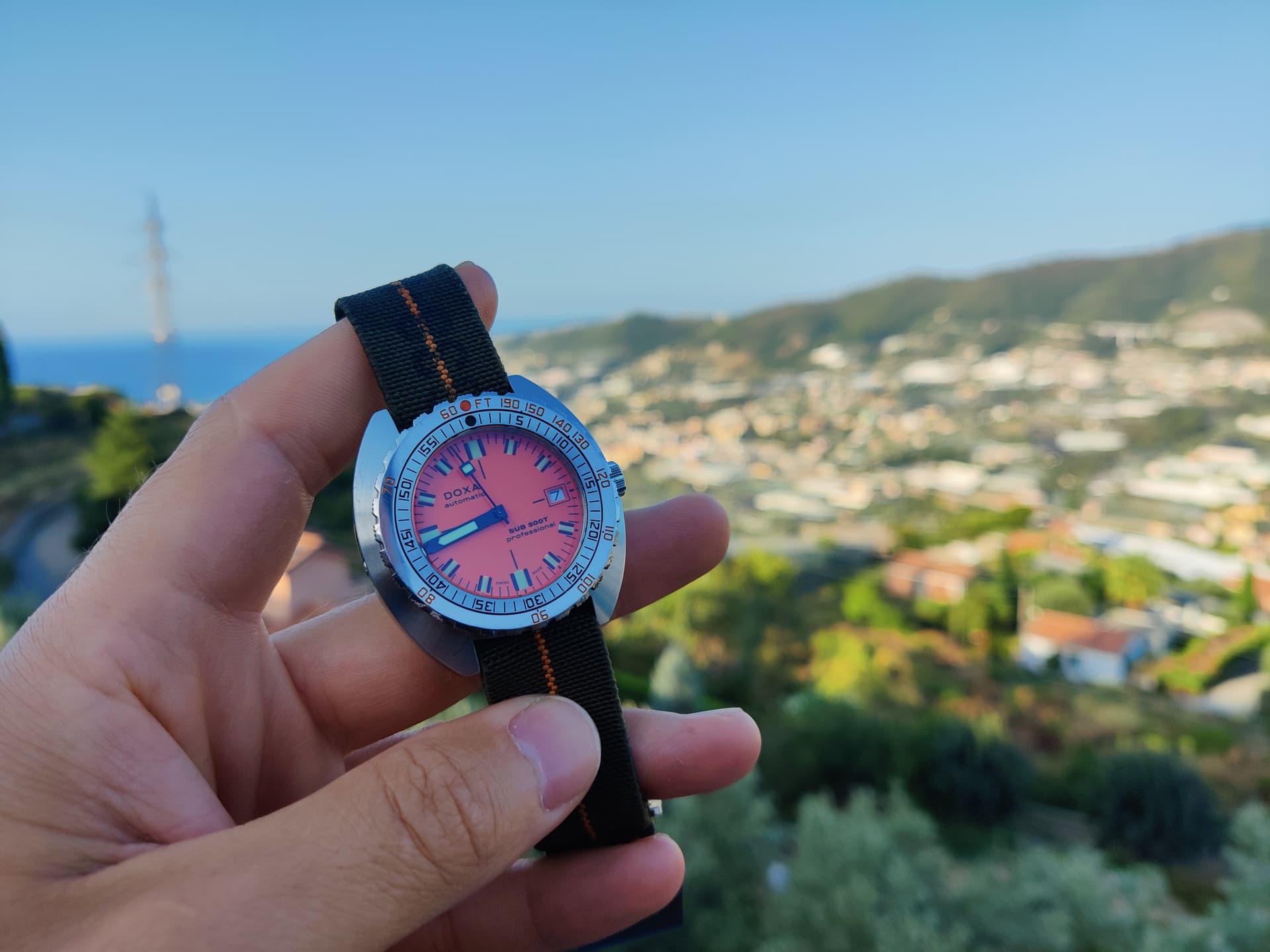 Doxa wristshot 11
