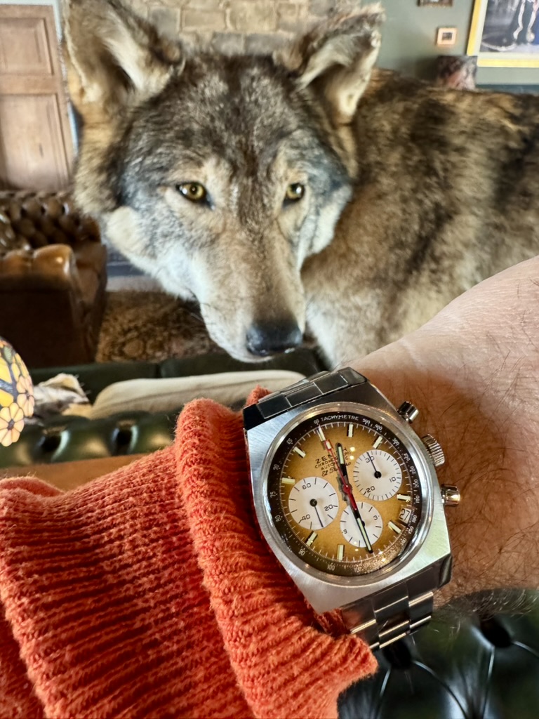 Zenith wristshot 26
