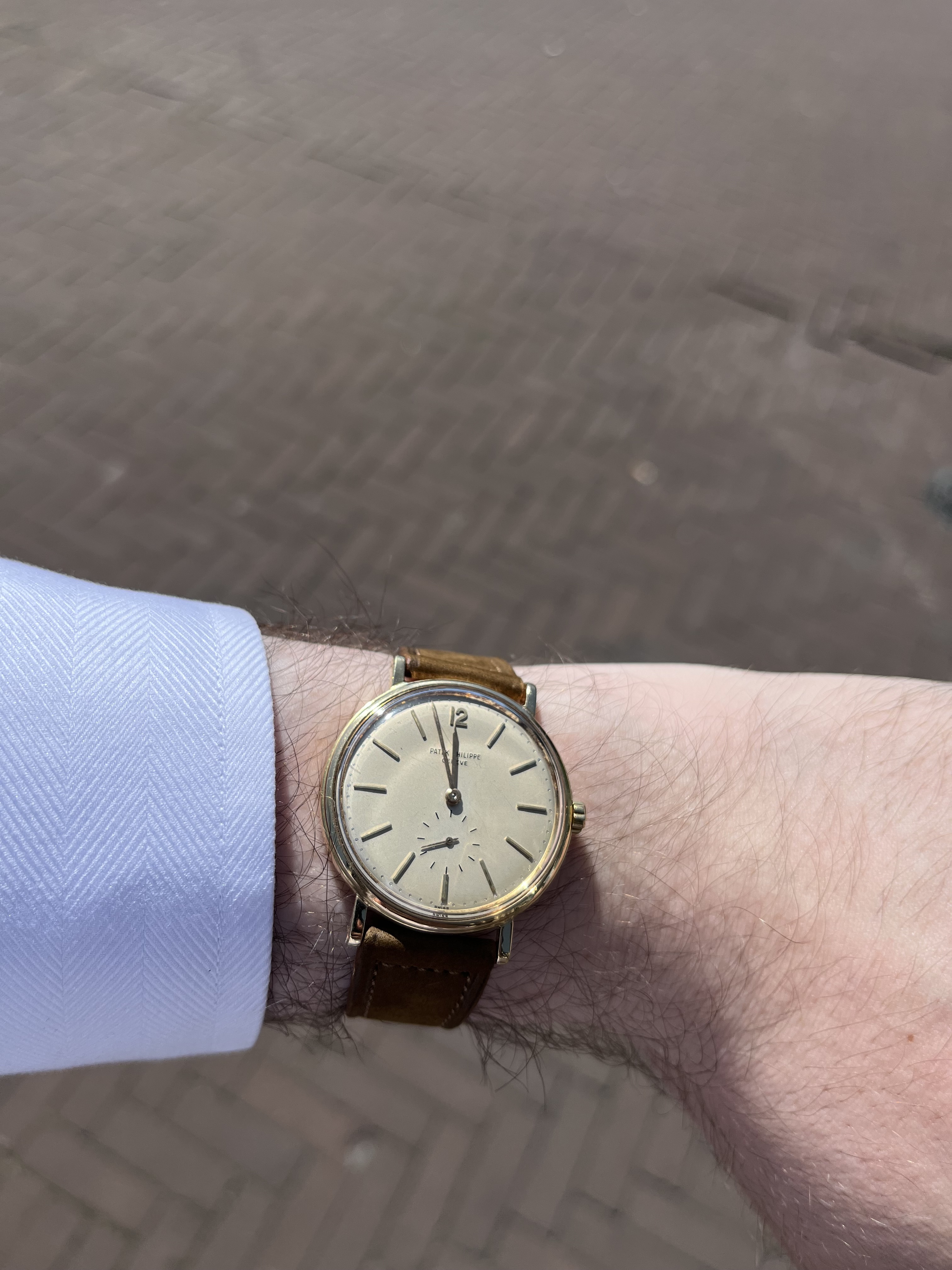 Patek Philippe wristshot 19