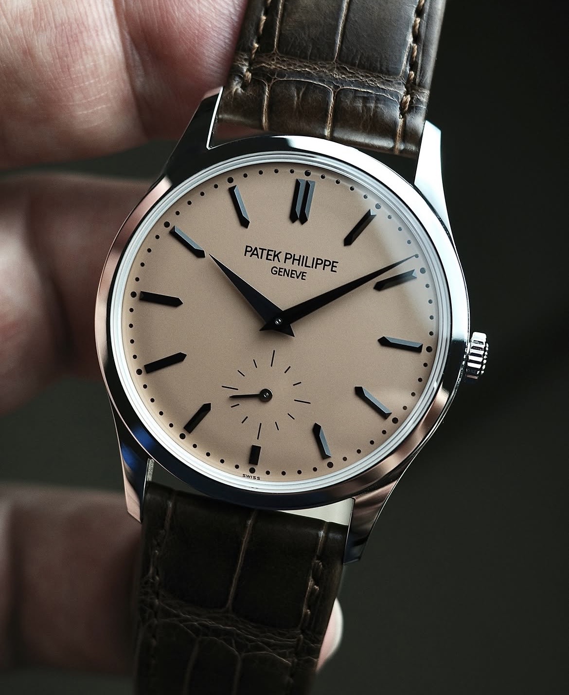 Patek Philippe wristshot 2