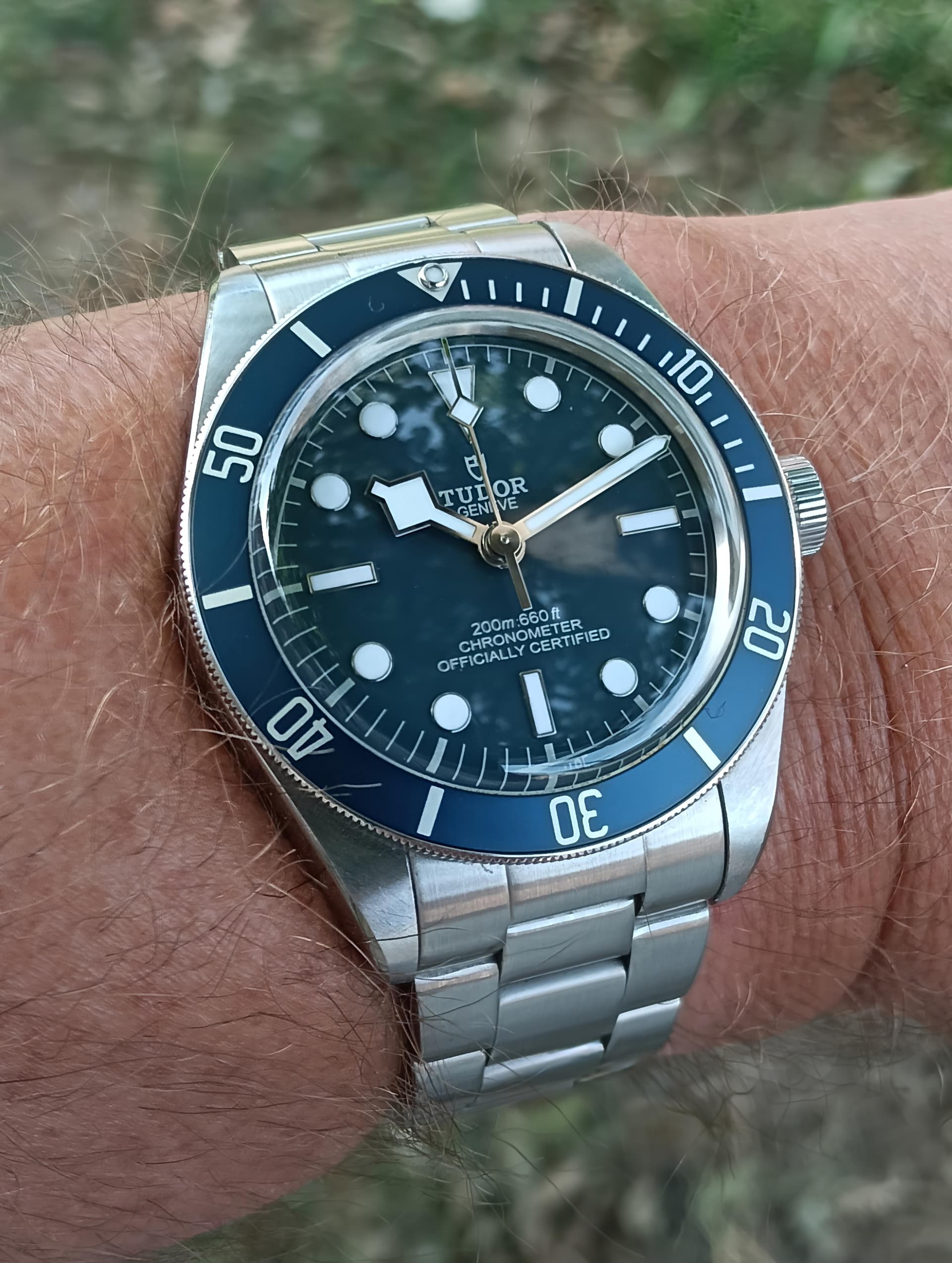 Tudor wristshot 12