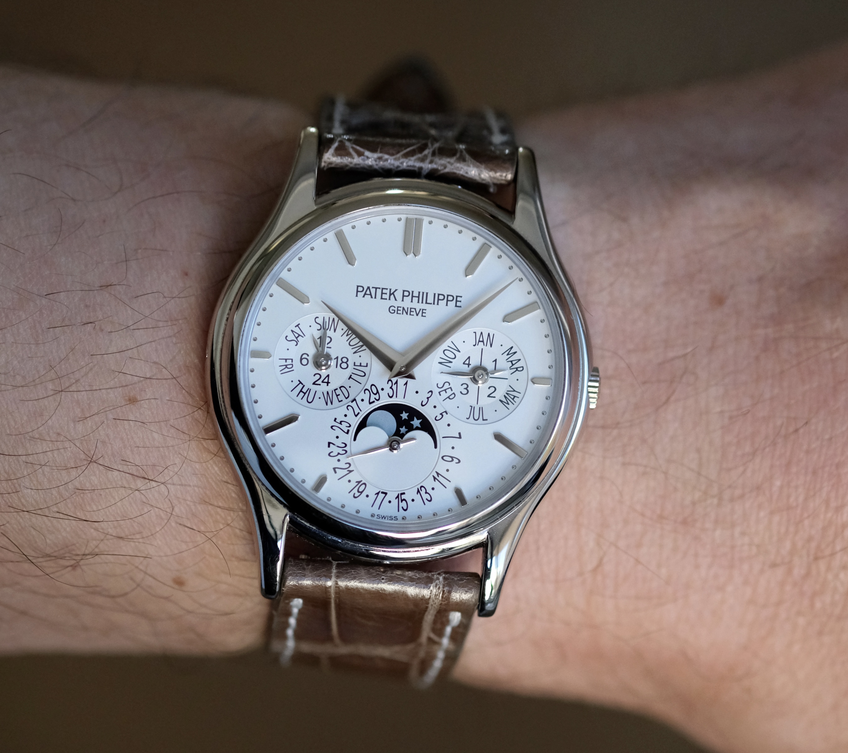 Patek Philippe wristshot 28